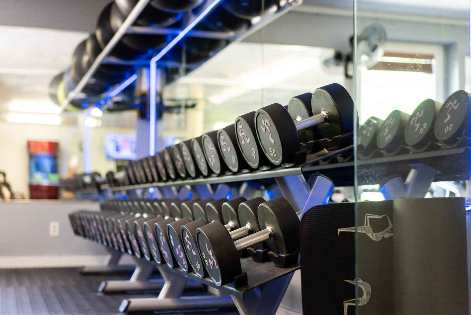 A row of dumbbells in a gym with blue lighting.